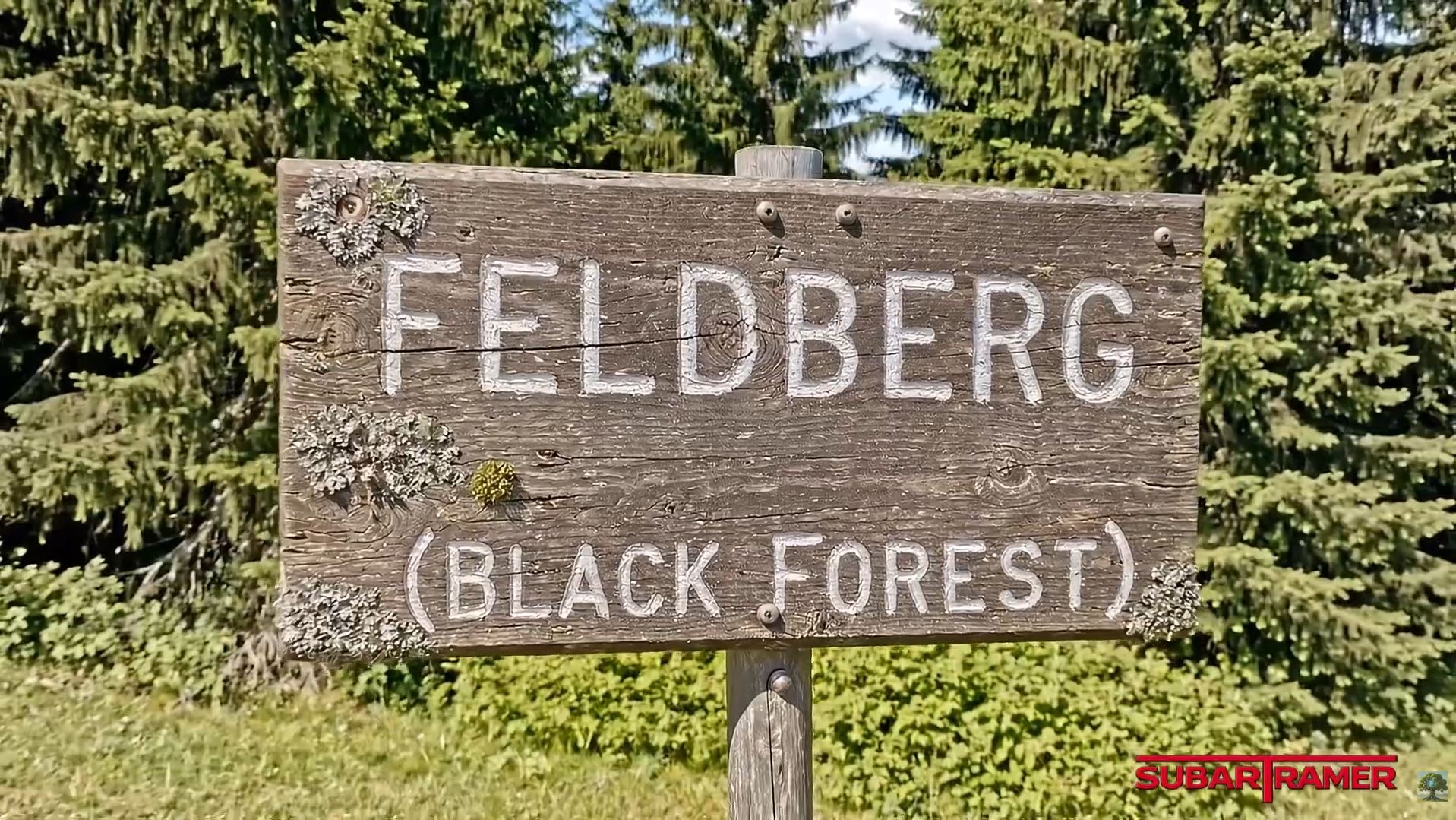 The Boundary of Life at Feldberg: Death of the Black Forest | Subartramer: Forty Tree Sci-Fi Series